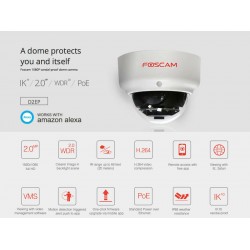 FOSCAM IP CAMERA D2EP 2MP Vandal-Proof PoE Dome Camera